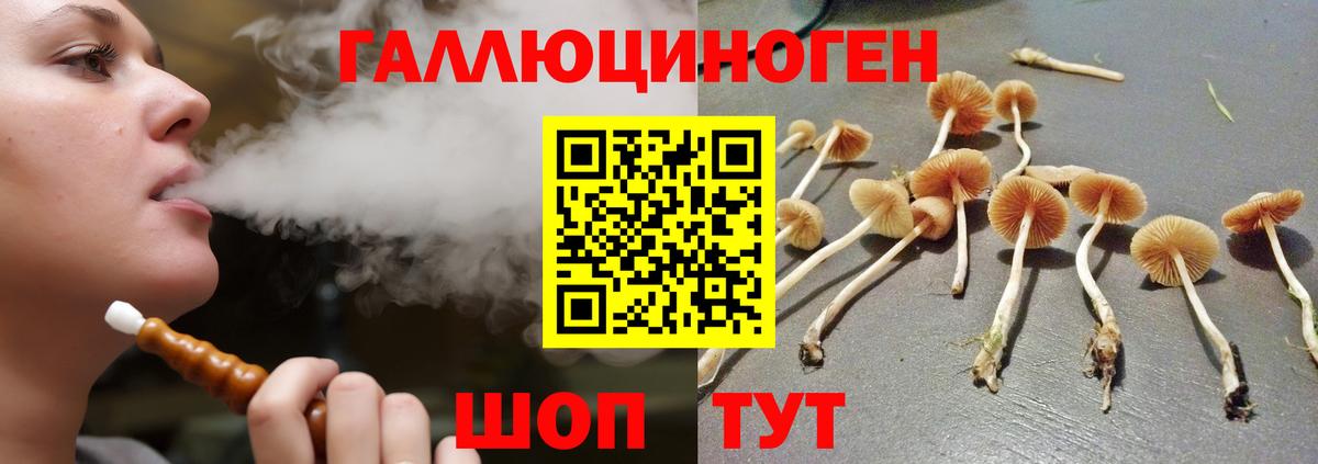 Псилоцибиновые грибы мухоморы  Псилоцибиновые грибы Psilocybine cubensis  Лесной  Вход с VPN 